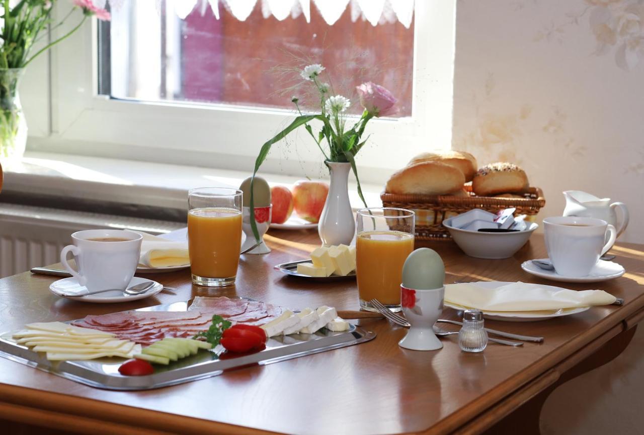 Pension Hoffmann Trebra Экстерьер фото