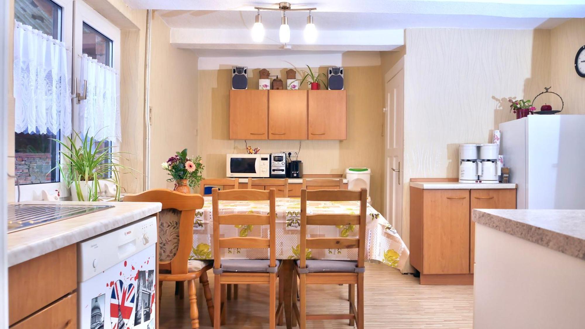 Pension Hoffmann Trebra Экстерьер фото