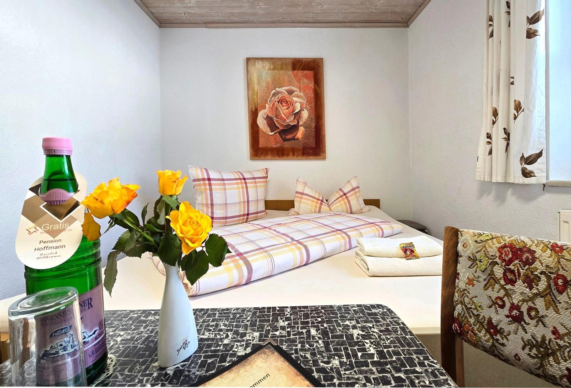 Pension Hoffmann Trebra Экстерьер фото
