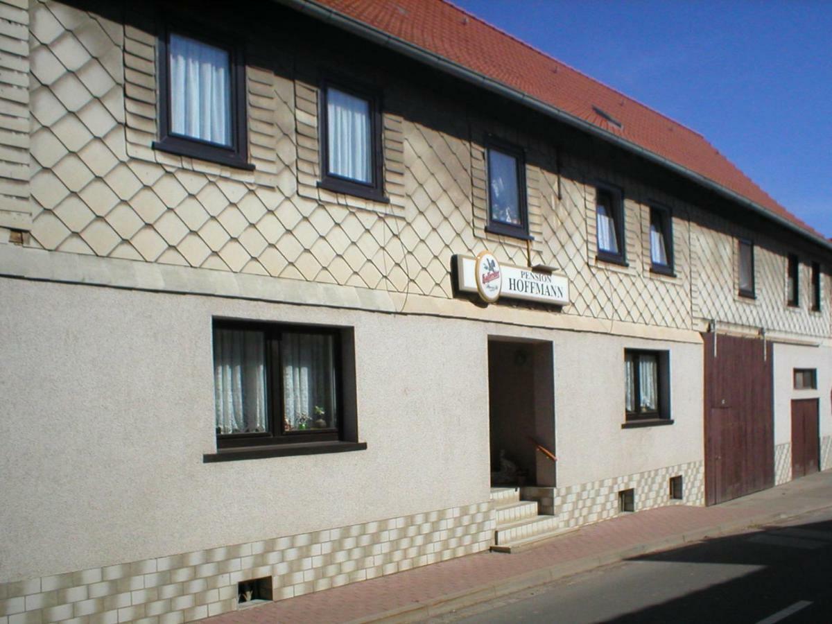 Pension Hoffmann Trebra Экстерьер фото
